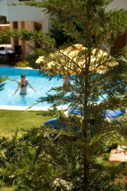 Pefki  Blue Dream Luxury Villas מראה חיצוני תמונה